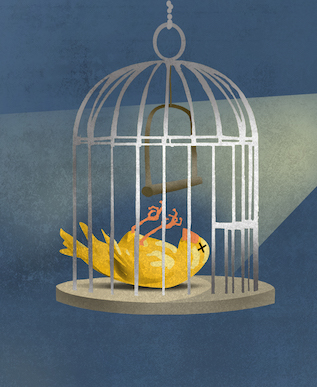 Canary